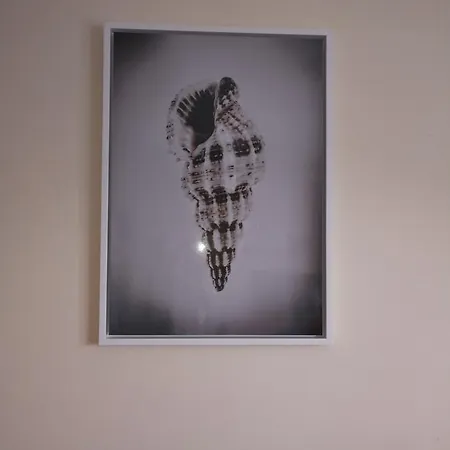 Las Caracolas Del